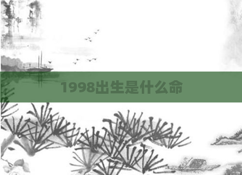 1998出生是什么命