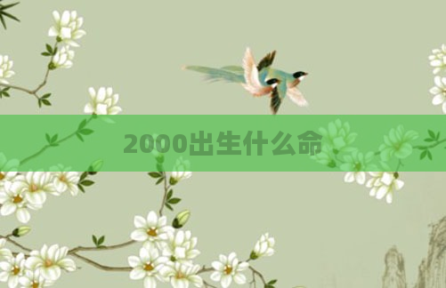 2000出生什么命