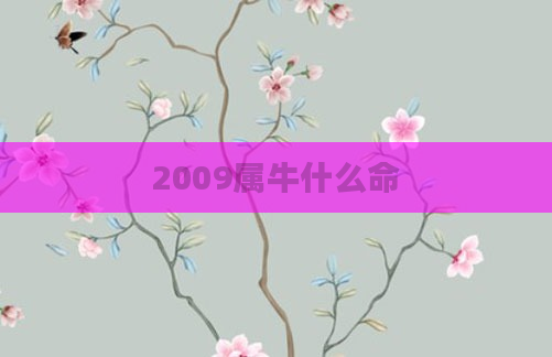 2009属牛什么命