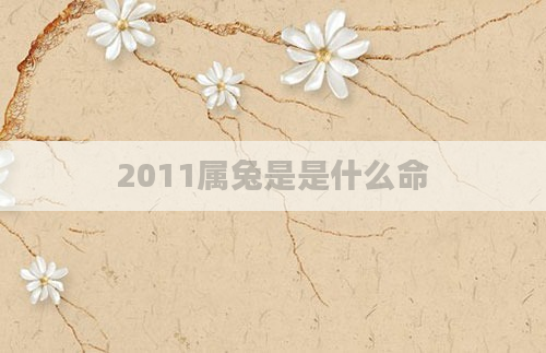 2011属兔是是什么命