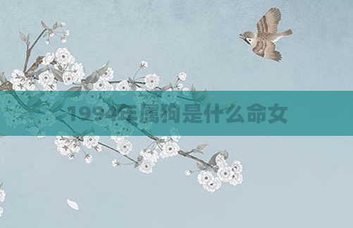 1994年属狗是什么命女