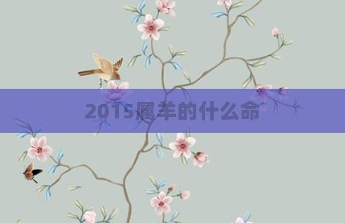 2015属羊的什么命