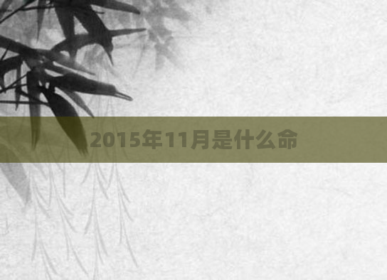 2015年11月是什么命