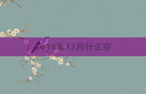 2016年12月什么命
