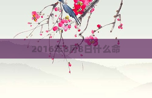 2016年8月8日什么命