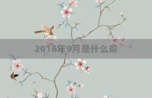 2016年9月是什么命