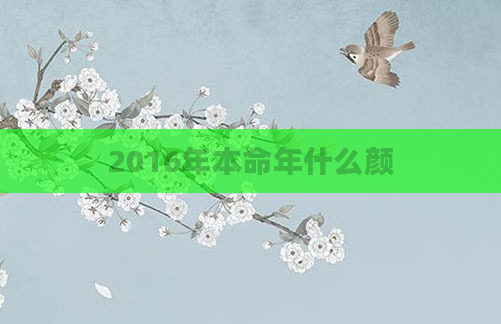 2016年本命年什么颜