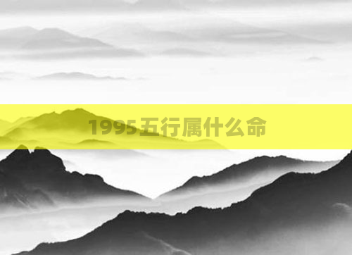 1995五行属什么命