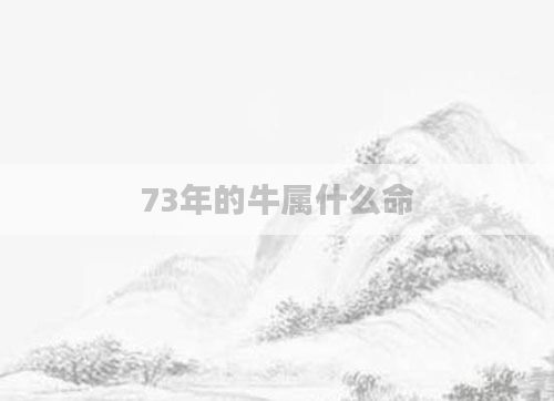 73年的牛属什么命