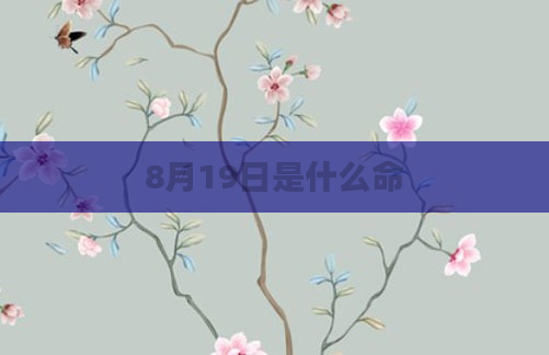 8月19日是什么命