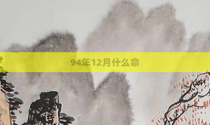 94年12月什么命