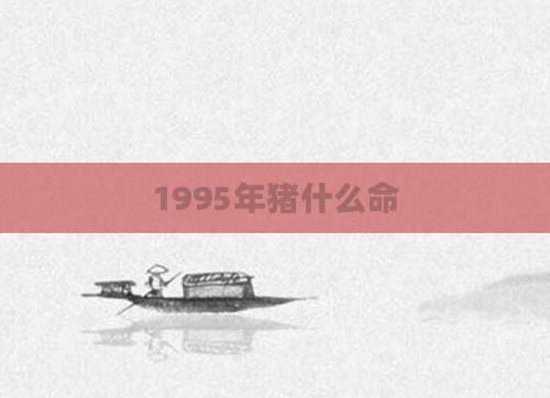 1995年猪什么命