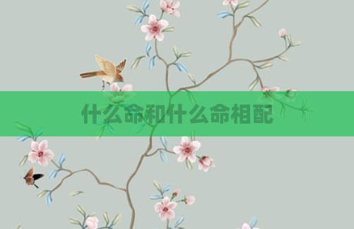什么命和什么命相配