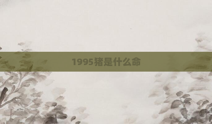 1995猪是什么命
