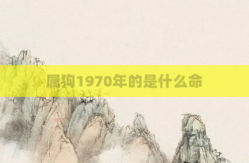 属狗1970年的是什么命
