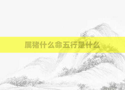 属猪什么命五行是什么