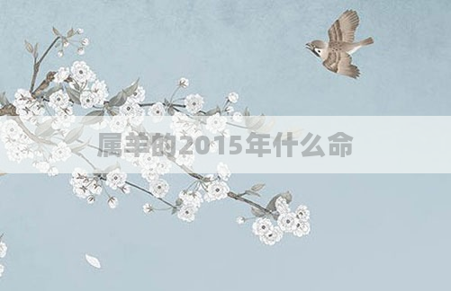 属羊的2015年什么命