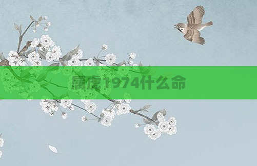 属虎1974什么命