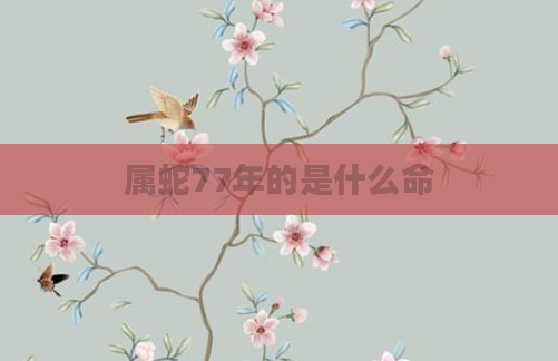 属蛇77年的是什么命