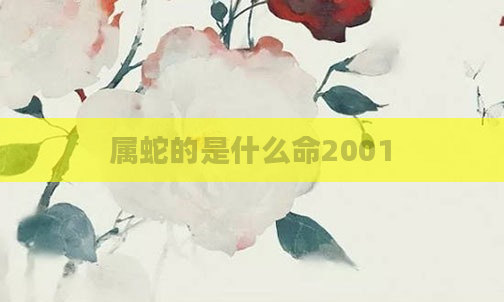 属蛇的是什么命2001