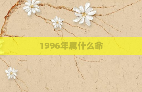 1996年属什么命