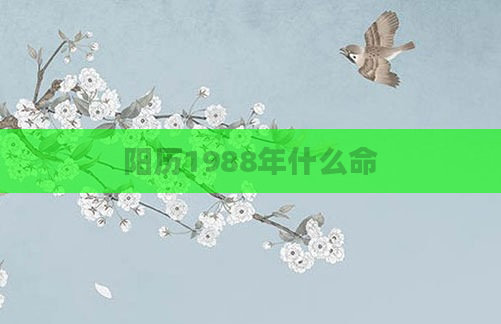 阳历1988年什么命