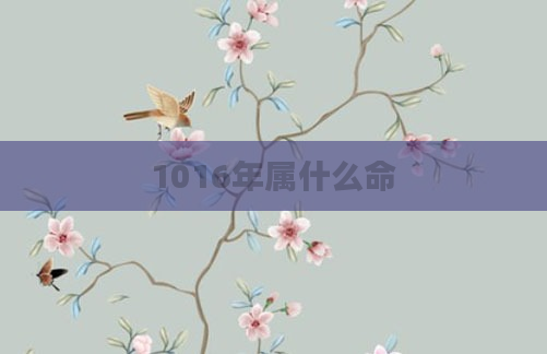 1016年属什么命