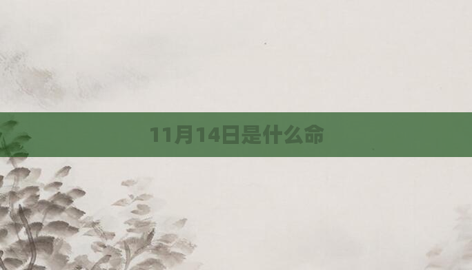 11月14日是什么命