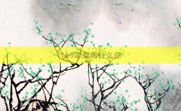 169年属鸡什么命