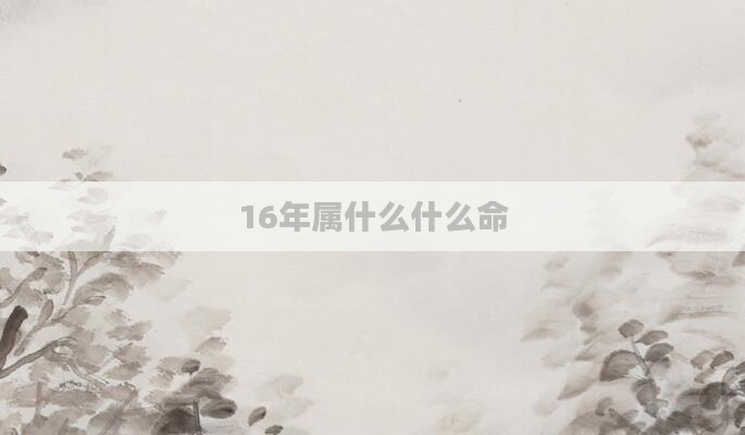 16年属什么什么命