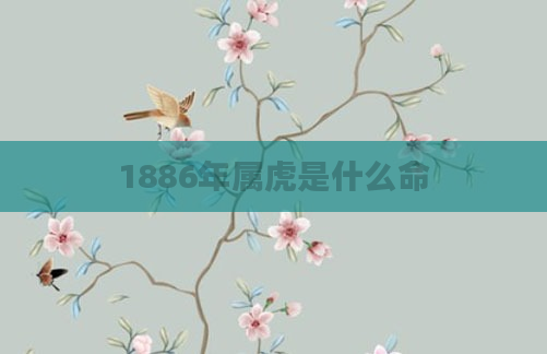 1886年属虎是什么命