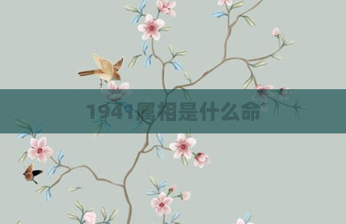 1941属相是什么命