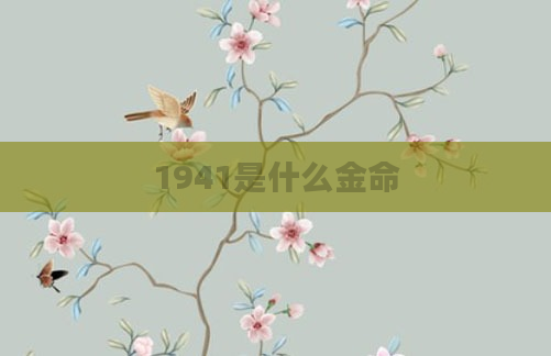 1941是什么金命