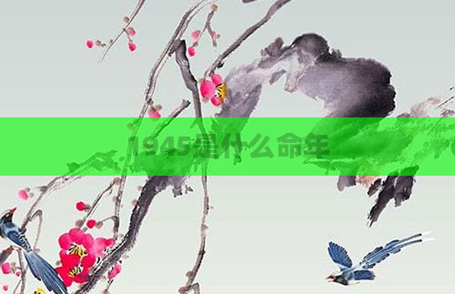 1945是什么命年