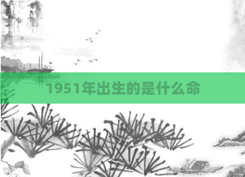 1951年出生的是什么命