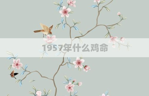 1957年什么鸡命
