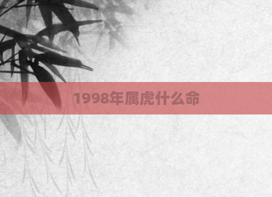 1998年属虎什么命