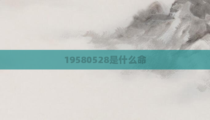 19580528是什么命