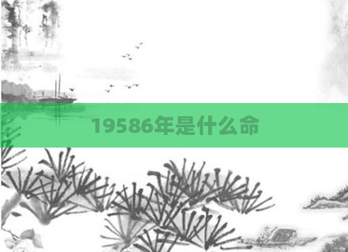 19586年是什么命