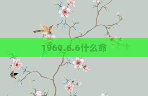 1960.6.6什么命