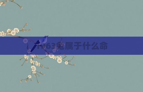 1963兔属于什么命