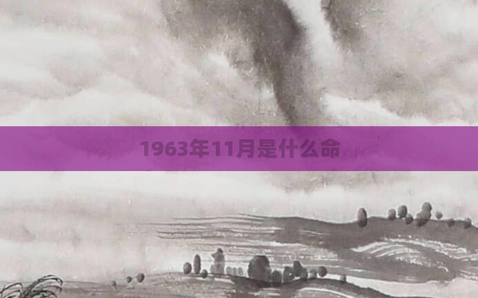 1963年11月是什么命