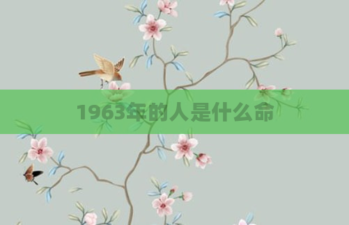 1963年的人是什么命