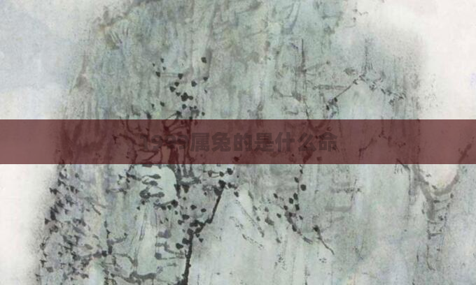 1999属兔的是什么命