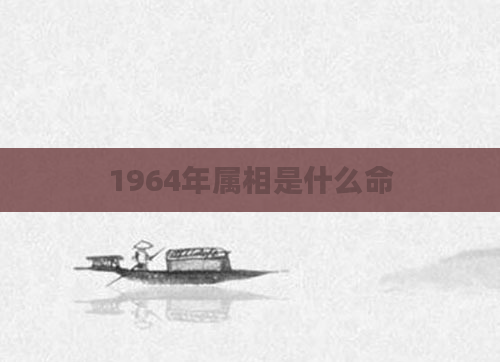 1964年属相是什么命