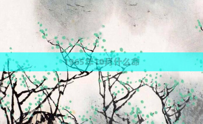 1965年10月什么命