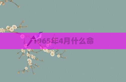 1965年4月什么命