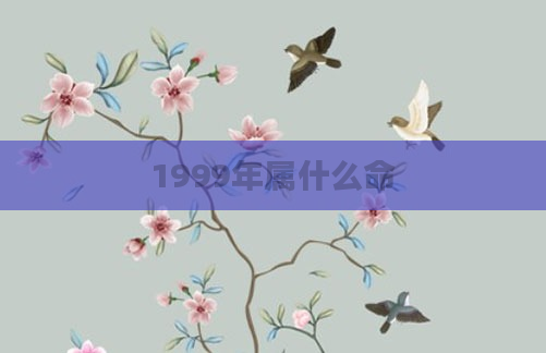 1999年属什么命