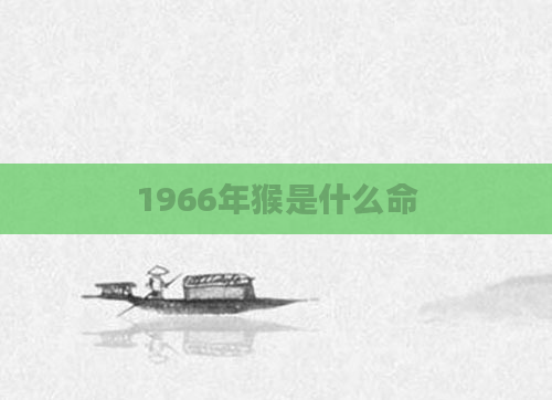 1966年猴是什么命