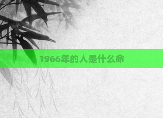 1966年的人是什么命
